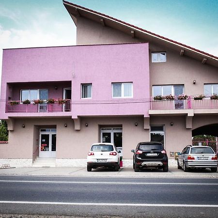 Pensiunea Oxana Lipova Exterior foto